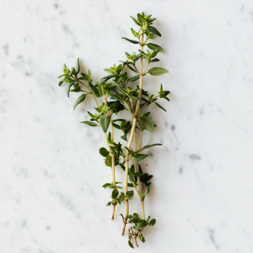 Tea & Thyme Scent